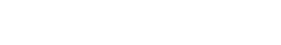 Seemax logo